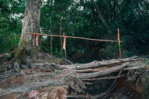 BIB: 
                            <button type="button" onclick="openModal(27313791)" class="btn btn-primary btn-sm float-right btn-popup" data-toggle="modal" data-target=".modal-high-quality">
                        <i class="fas fa-shopping-cart"></i> Add to Cart
                    </button>
                                            <button type="button" onclick="isThisMe(27313791, true)" class="btn btn-success btn-sm float-right btn-popup btn-isme hidden" data-toggle="tooltip" data-placement="bottom" title="นี่คือรูปของคุณใช่ไหม คลิกที่นี่เพื่อเอาเข้าอัลบั้ม">
                        <i class="fas fa-plus"></i> Add to album
                    </button>
                    <button type="button" onclick="isThisMe(27313791, false)" class="btn btn-warning btn-sm float-right btn-popup btn-isnotme hidden">
                        <i class="fas fa-ban"></i> Remove from album
                    </button>